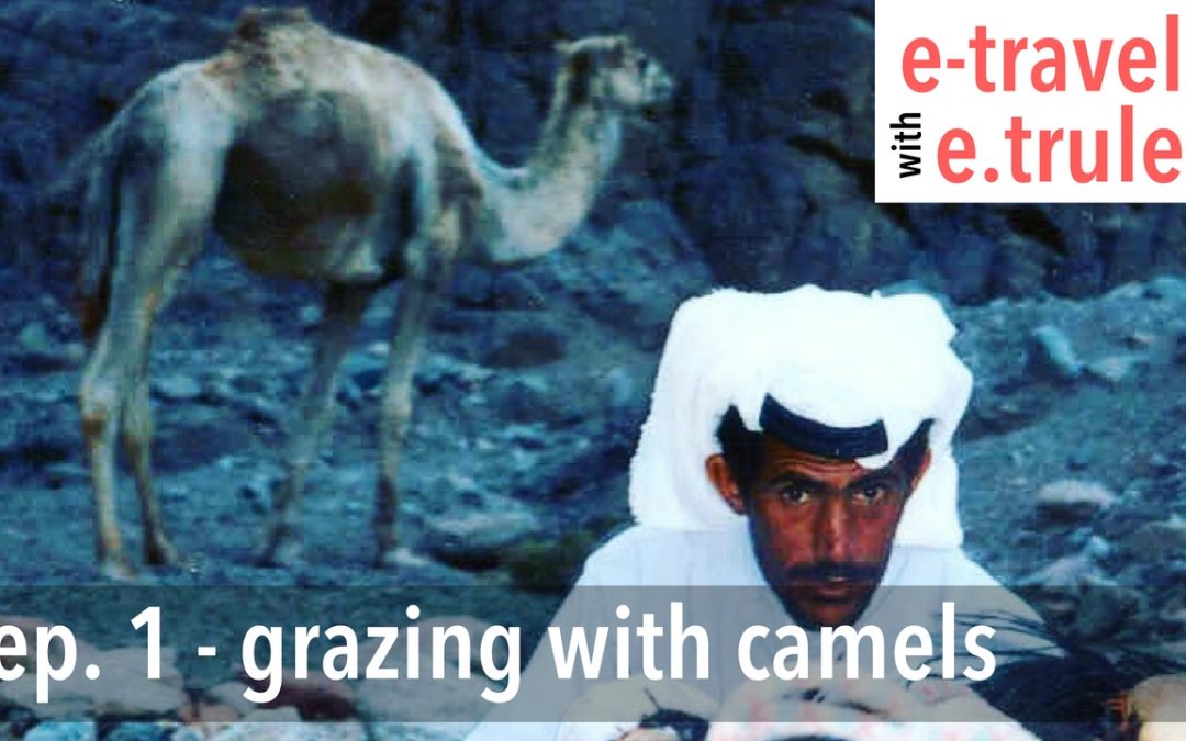 Grazing With Camels – Episode 1