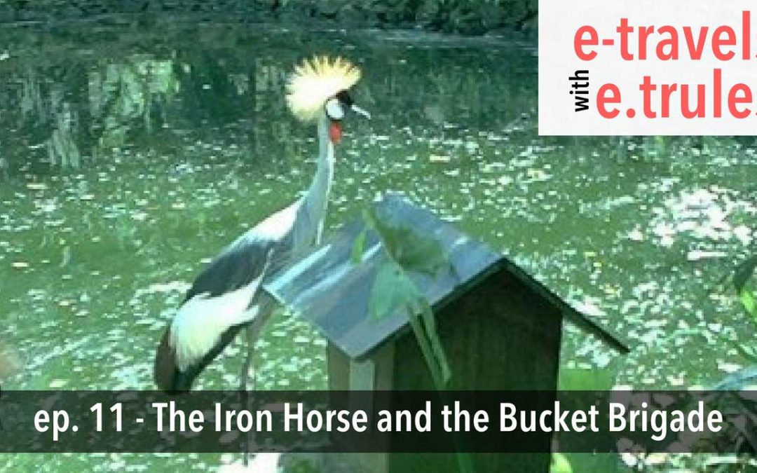 The Iron Horse and the Borneo Bucket Brigade – Episode 11